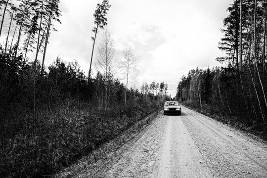 Car on a road in the forest black and white