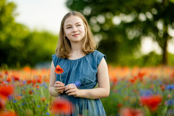 Beautiful teenage girl admiring poppy and knapweed flowers in blossoming poppy field on sunny...