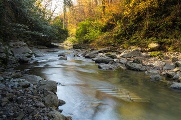 mountain river in a forest canyon, rocky river