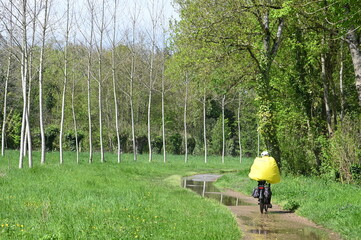 Marais Poitevin à vélo