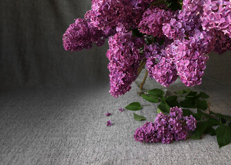 Composition of lilac branches