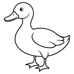 duck isolated on white