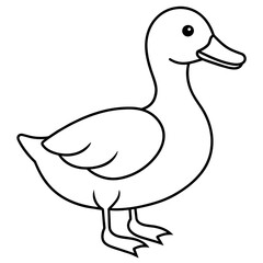 illustration of a cartoon duck