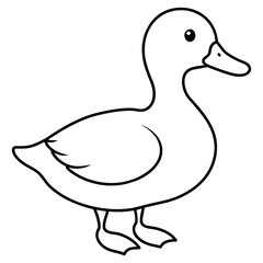 duck isolated