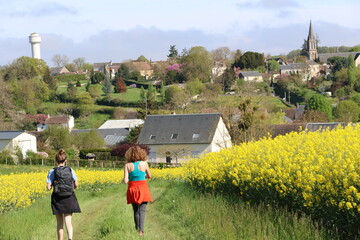 Randonn&eacute;e en campagne
