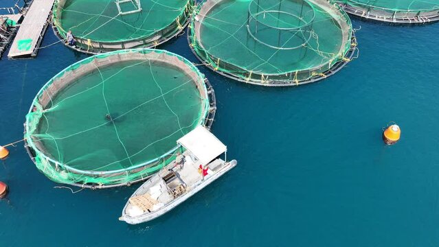 Aerial drone video of workers feeding fish farming unit cage of sea bream and sea bass in Mediterranean calm deep blue sea