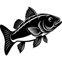 fish on white background
