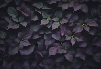 Dark purple leaves densely covering the frame with subtle variations in hue and some leaves having green stems - obrazy, fototapety, plakaty