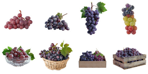 Organic grape png set collection in 3d transparent no background.