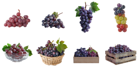 Organic grape png set collection in 3d transparent no background.