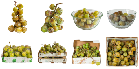 Rotten green grape png collection in 3d transparent for product presentation.