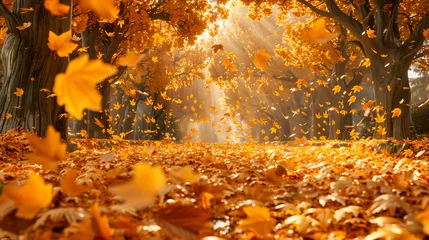 Fotobehang An enchanting forest in autumn with a carpet of golden leaves and light streaming through the trees © weerasak