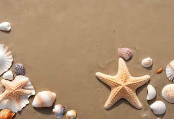 Fototapeta na wymiar A starfish and various seashells on sandy beach surface