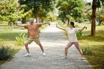 Diverse couple practicing tai chi in park to stay healthy - 786571017