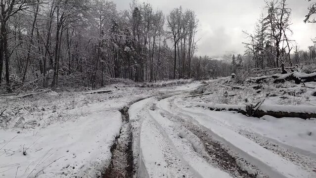 A snowy road with a tree stump in the middle. The road is muddy and the snow is piled up