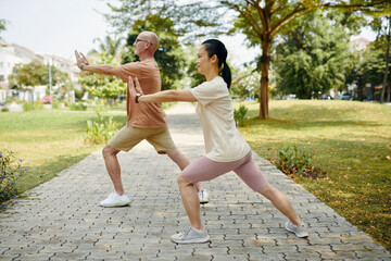 Diverse couple practicing tai chi outdoors in the morning - 786571688