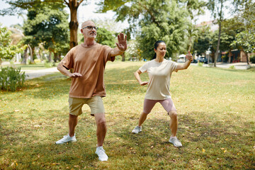 Mature couple enjoying practicing tai chi outdoors - 786571801