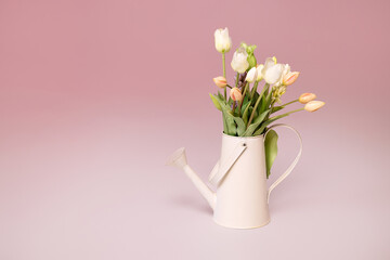 Bouquet of fresh pink tulips in teapots on a pink background. View with copy space. Spring holiday...