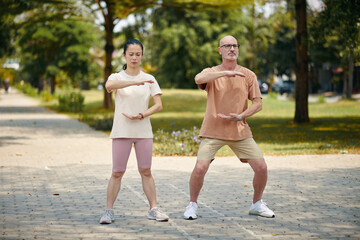 Mature man and woman doing arm circle movement when practicing tai chi outdoors - 786573293