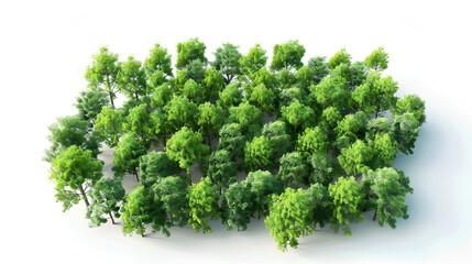 Obraz premium Aerial view woods trees cutout on white background
