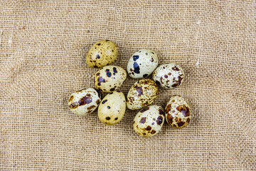 Spotted quail eggs on a sackcloth. Healthy nutrition. Top view