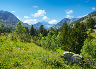 Mountain landscape with green grass and flowers. Andorra, - 786580234