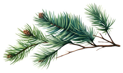 PNG Plant pine tree fir