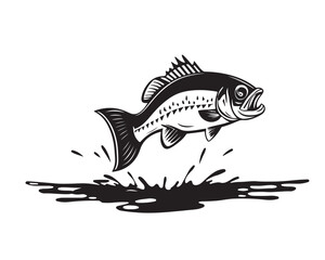 bass fish silhouette. fish vector illustration. jumping fish on white background.