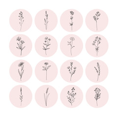 hand drawn vector set flower icons templates in circles, - social media story highlights cover illustrations in trendy linear style	
