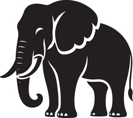 elephant illustration