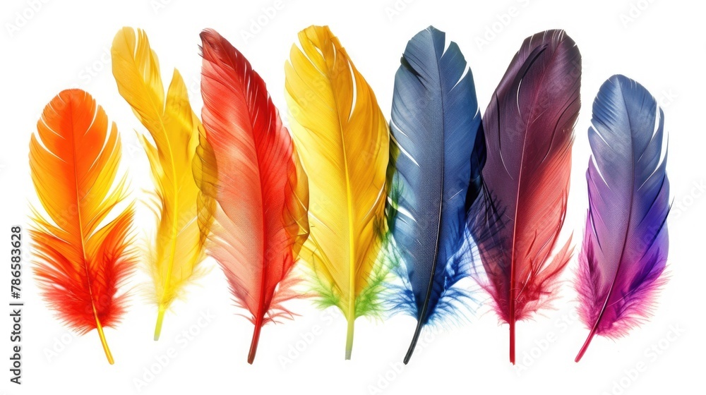 Poster vibrant feathers of various colors on a clean white backdrop. suitable for a variety of creative pro