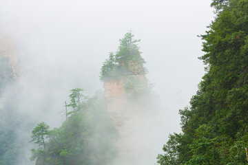 Landscape with eroded irregularly shaped sandstone pinnacle in the fog, Zhangjiajie National Forest...