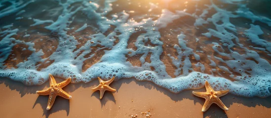 Foto op Plexiglas Vacation background. Sea beach with shells and starfish on sand. Summer holiday travel theme.   © elenabdesign