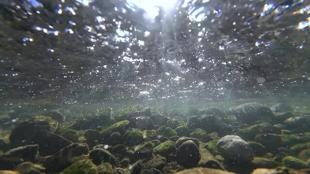Unterwasservideo von einem Bach mit Steinen und Sonnenstrahlen im fließenden Wasser in Zeitlupe
