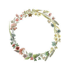 Wildflowers round watercolor wreath isolated illustration with thin spikelets and twigs. Hand painted meadow wild flower floral frame with white and beige background for invitation and card template.