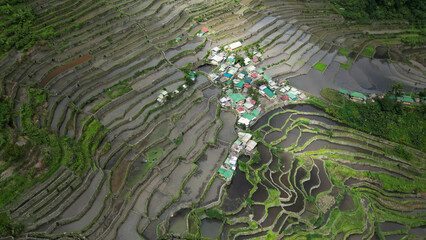 Batad Rice Terraces in Philippines - 786591685