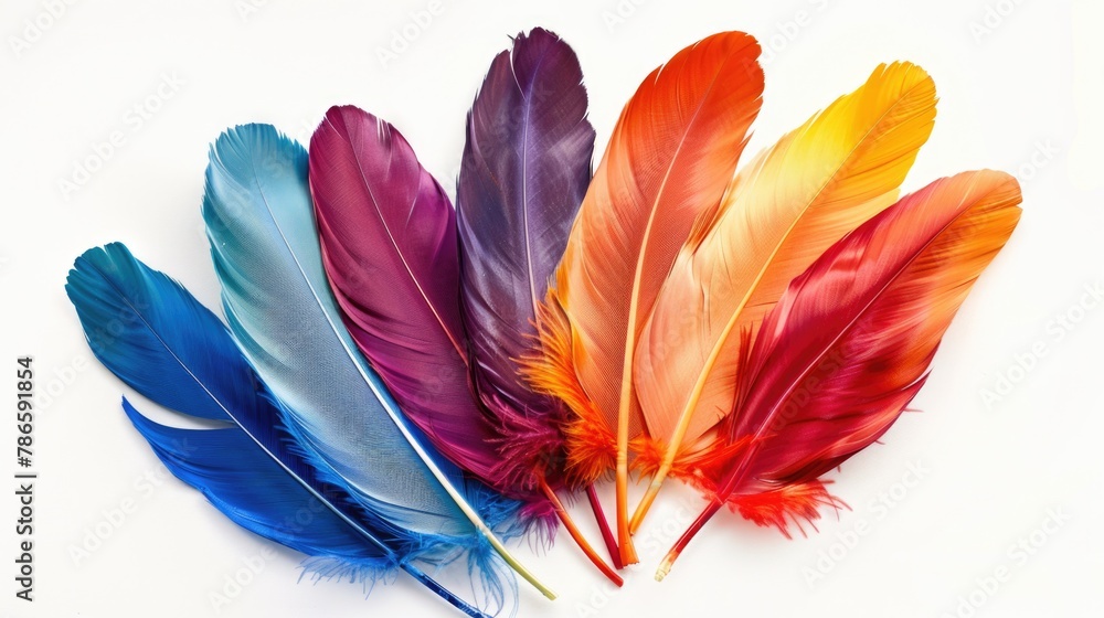 Aufkleber vibrant feathers in various colors on a white background. suitable for various design projects