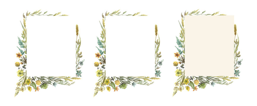 Wildflowers rectangular watercolor frame isolated illustration with thin spikelets and twigs. Hand painted meadow wild flower wreath with white and beige background for invitation and card template.