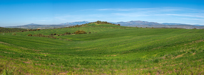 Panoramic landscape of the Sierra de Madrid in the background in the green fields