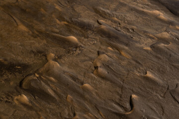 Close up of wet sand texture. Natural background. Selective focus.