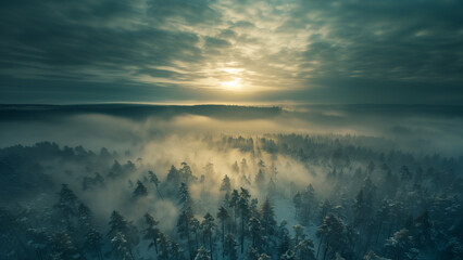 Aerial view of misty morning in snowy forest.