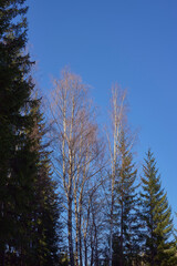 Images from the cultural landscape of Toten by Overnvegen Road and former Skreiabanen Railroad, Toten, Norway, a day in April of 2024.
