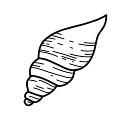 Hand drawn sea shell vector illustration. Sketch isolated on white background. Marine underwater design element. Summer sea clipart.