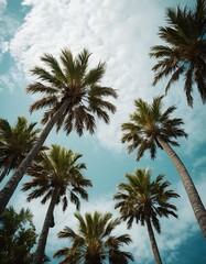 Palm trees, tropical summer beach mood, vertical background, upward camera angle, holiday vacation