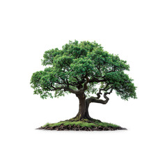 Green Tree Against White Background. Generative AI