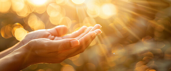 Praying Hands under the God Light
