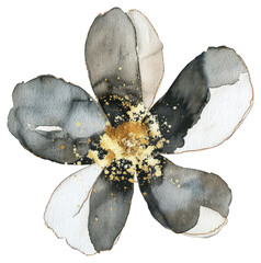 PNG Flower shape pollen petal plant - obrazy, fototapety, plakaty