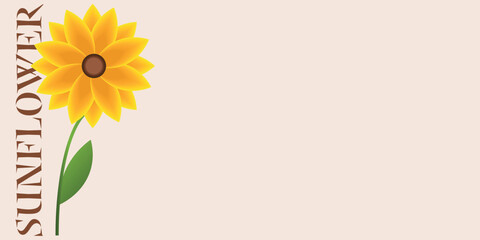 Background with sunflower with copy space. Banner with text sunflower