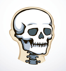 Vector drawing. Skull and neck bones - 786600626