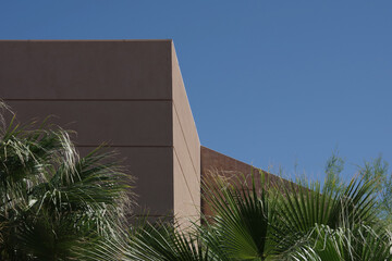 Part of a desert architecture style building with palm trees and blue sky